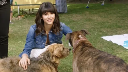 Cinco lições que o filme Nossa Vida com Cães deixa para quem adora histórias leves