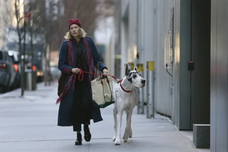 Adaptação de “O Amigo”, com Naomi Watts, chega ao Prime Video e retrata luto sem melodrama