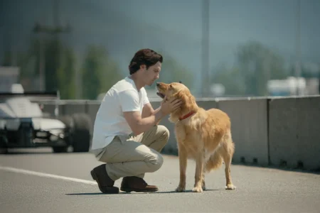 Filme da Netflix faz público testar limites do coração com drama narrado por cachorro