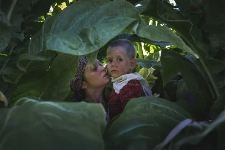 Lazzaro Felice: drama italiano mistura realismo e fantasia e já está disponível na Netflix