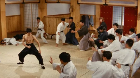 5 filmes de artes marciais que foram copiados à exaustão no cinema asiático