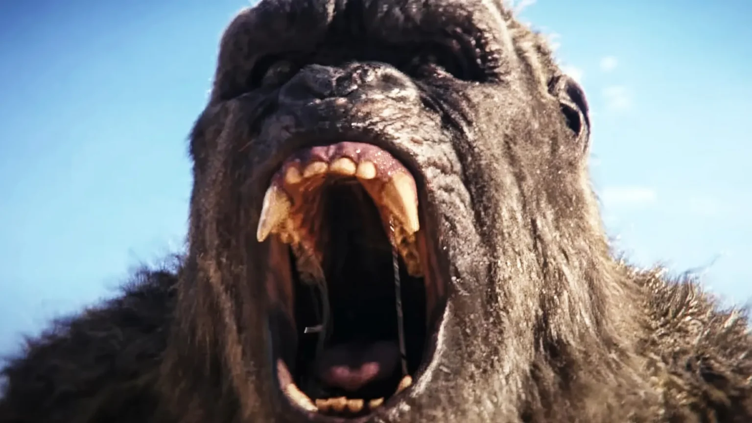 Godzilla x Kong: Supernova pode reunir Godzilla e Rodan em novo confronto de Titãs