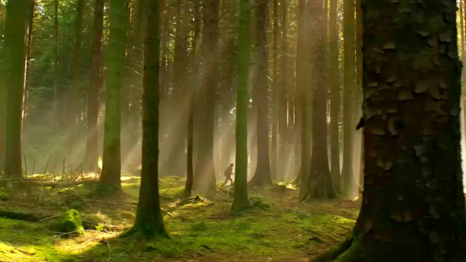 Como “How to Train Your Dragon” virou a única franquia de fantasia sem filme ruim