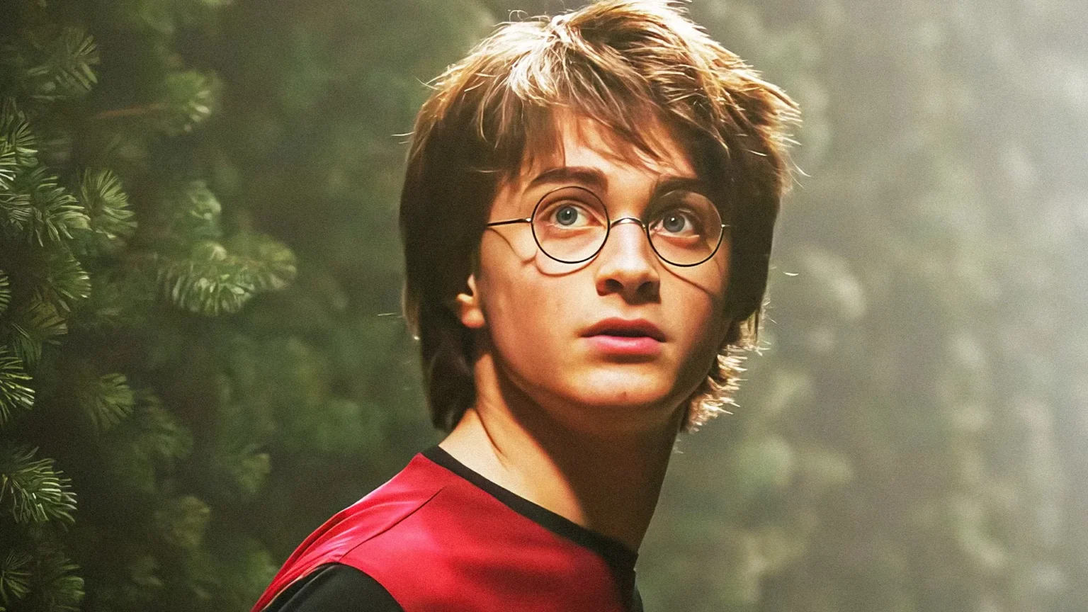 Daniel Radcliffe revela carta de boas-vindas enviada ao novo Harry Potter da série da HBO
