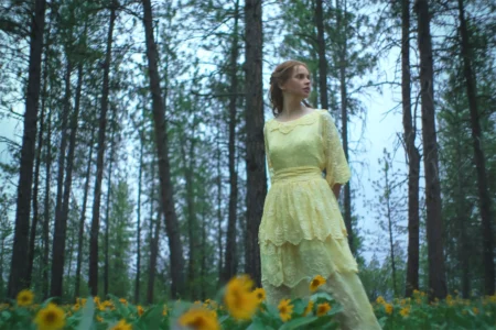 Sonhos de Trem: drama de Felicity Jones chega à Netflix e desponta como destaque do fim de semana