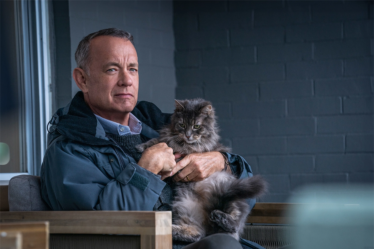 Filme com Tom Hanks vira queridinho discreto da Netflix e conquista nota 9/10 - Imagem do artigo