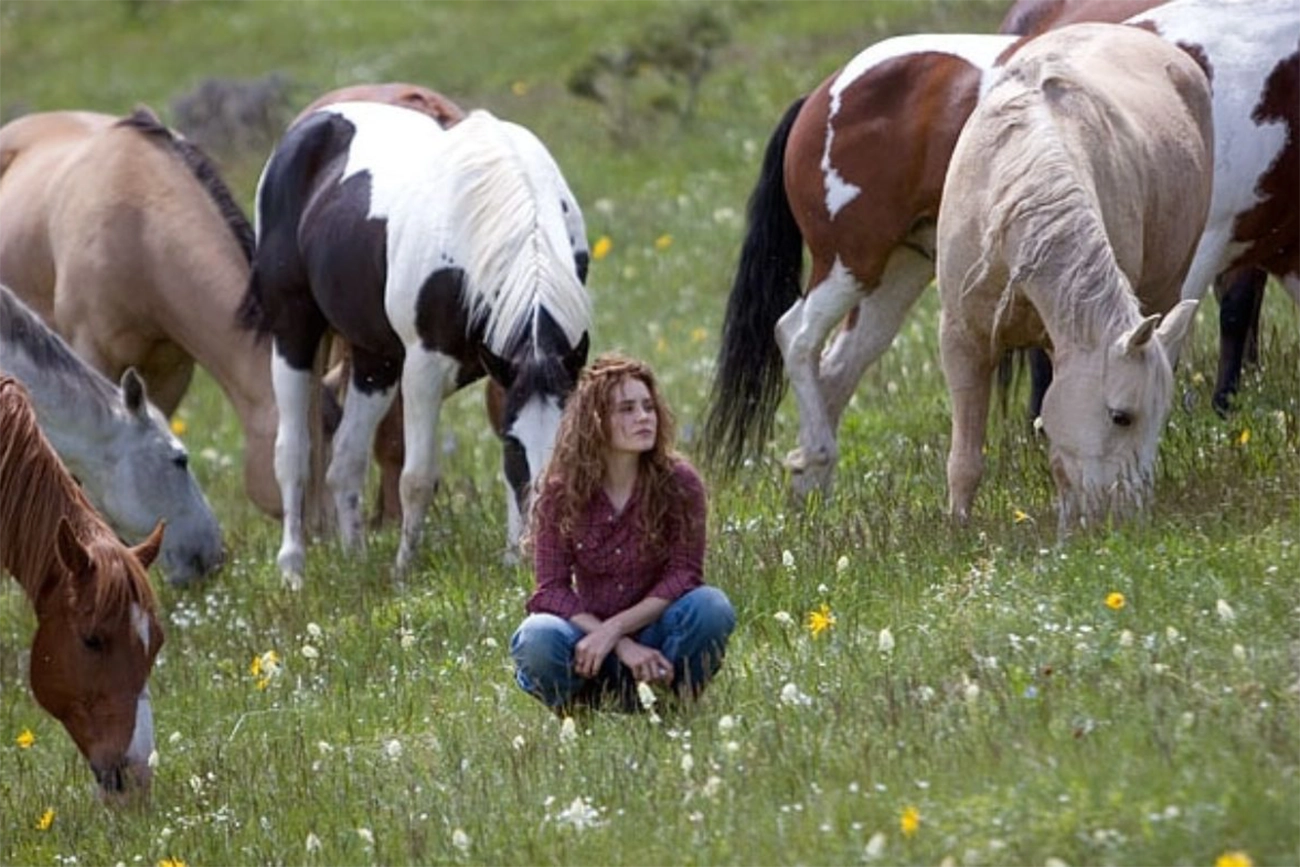 “Flicka”: filme de aventura e amadurecimento disponível na Netflix chama atenção dos assinantes - Imagem do artigo