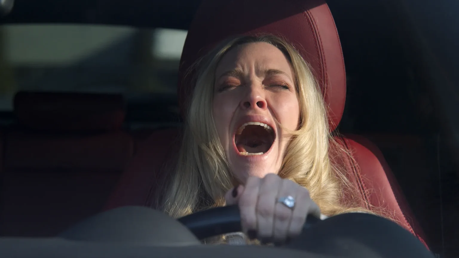 The Housemaid: adaptação insana com Amanda Seyfried chega aos cinemas em 2025