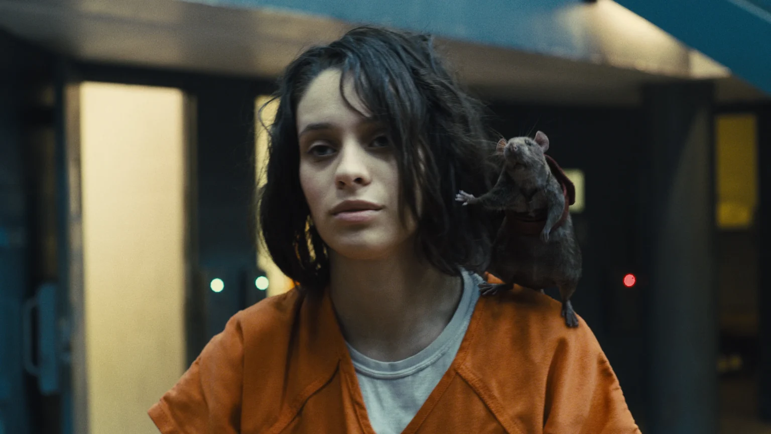 Daniela Melchior diz não ter notícias sobre volta de Ratcatcher 2 à DCU