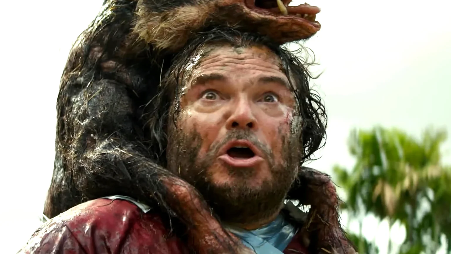 Diretor explica por que o novo Anaconda foge do remake tradicional e aposta em metalinguagem "Paul Rudd e Jack Black em cena de Anaconda, comédia de aventura disponível no HBO Max Brasil