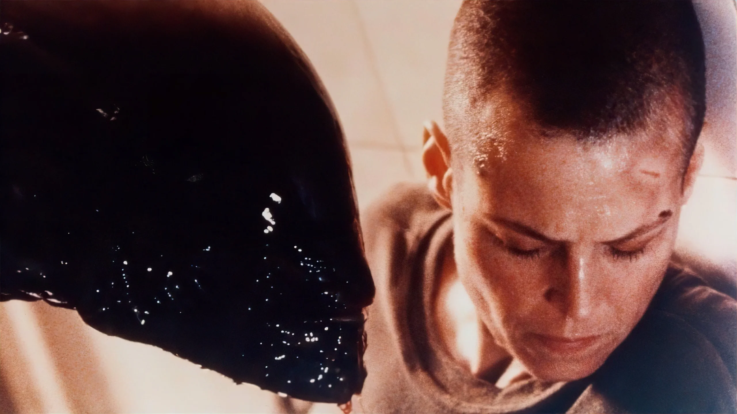 James Cameron critica decisão de Alien 3, mas poupa David Fincher - Imagem do artigo