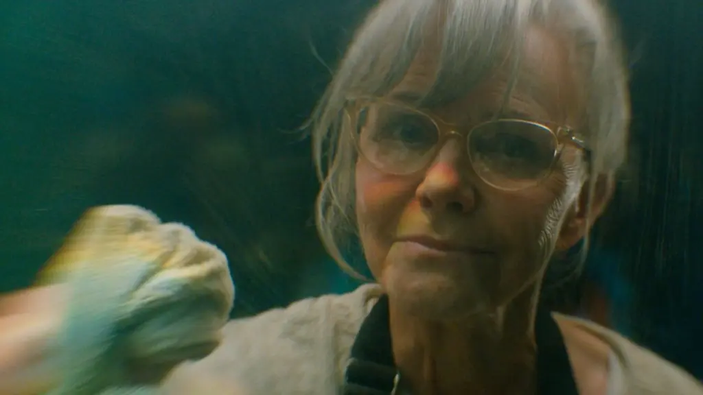 Criaturas Extraordinariamente Brilhantes reúne Sally Field e Alfred Molina em drama disponível no streaming