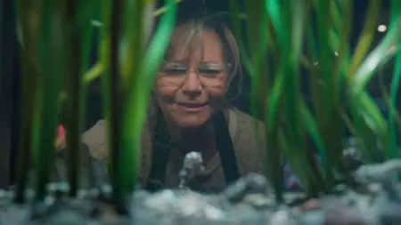 Criaturas Extraordinariamente Brilhantes reúne Sally Field e Alfred Molina em drama disponível no streaming
